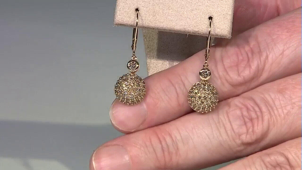 Letzte TV-Show ansehen