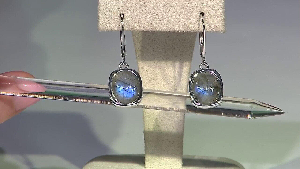 Ver última TV oferta