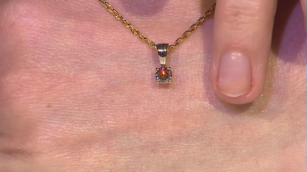 Letzte TV-Show ansehen