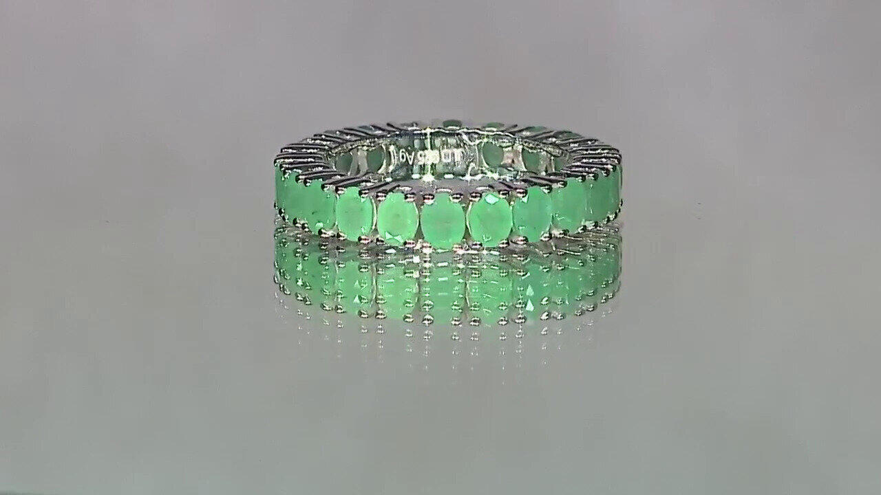 Letzte TV-Show ansehen