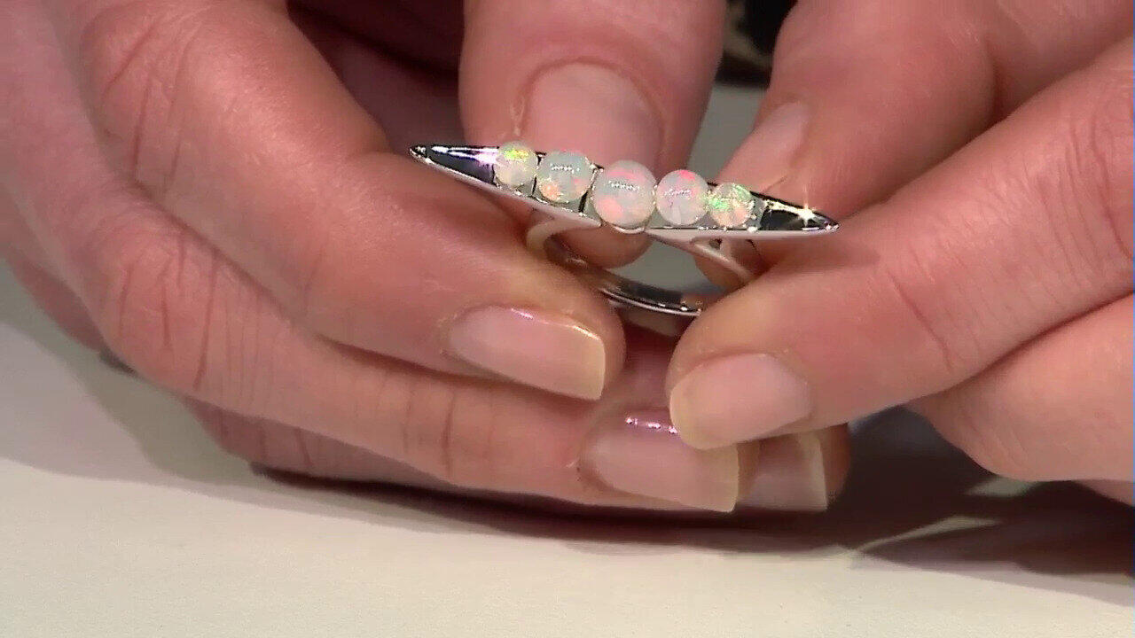 Letzte TV-Show ansehen