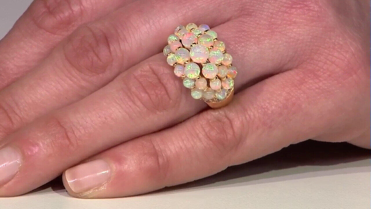 Letzte TV-Show ansehen