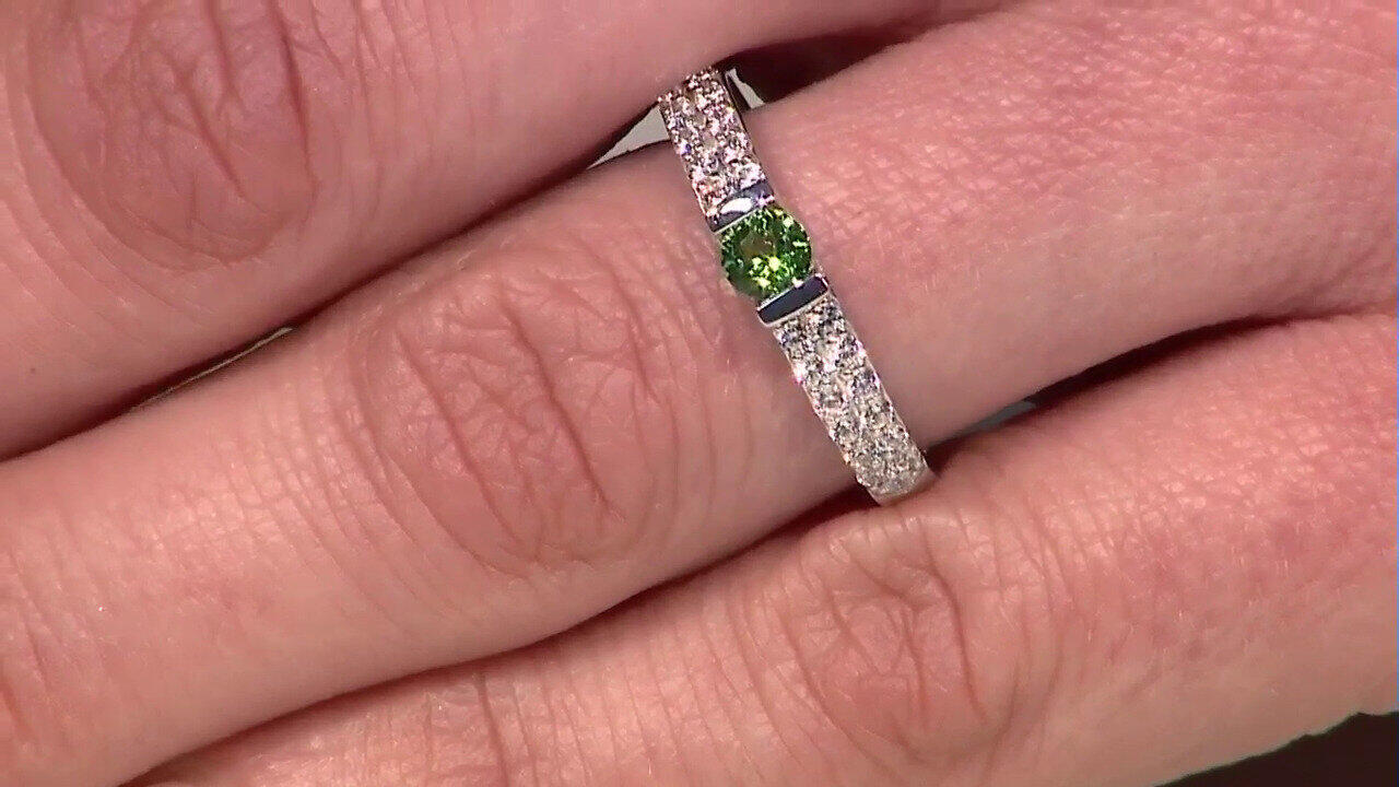 Letzte TV-Show ansehen