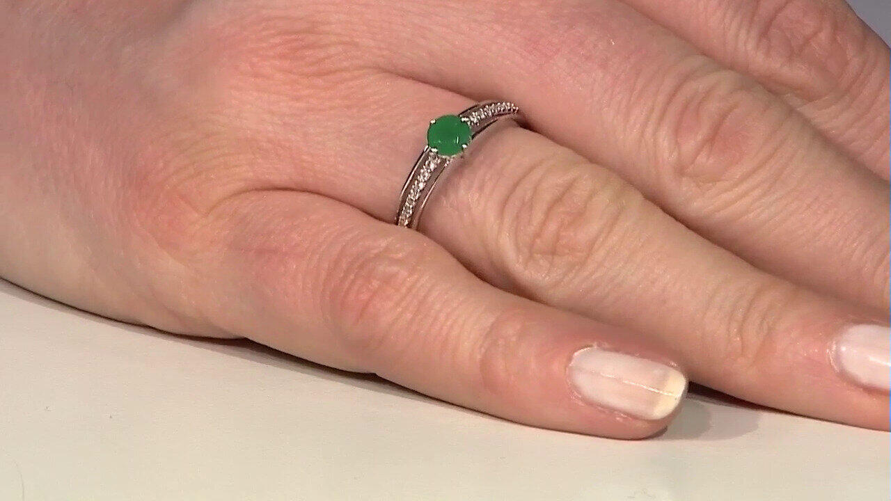 Letzte TV-Show ansehen