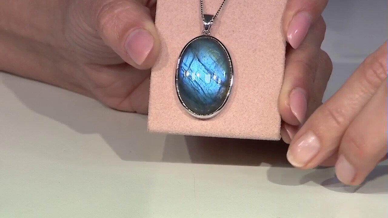 Letzte TV-Show ansehen