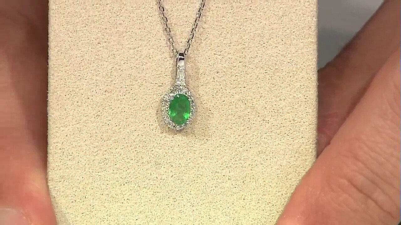 Ver última TV oferta