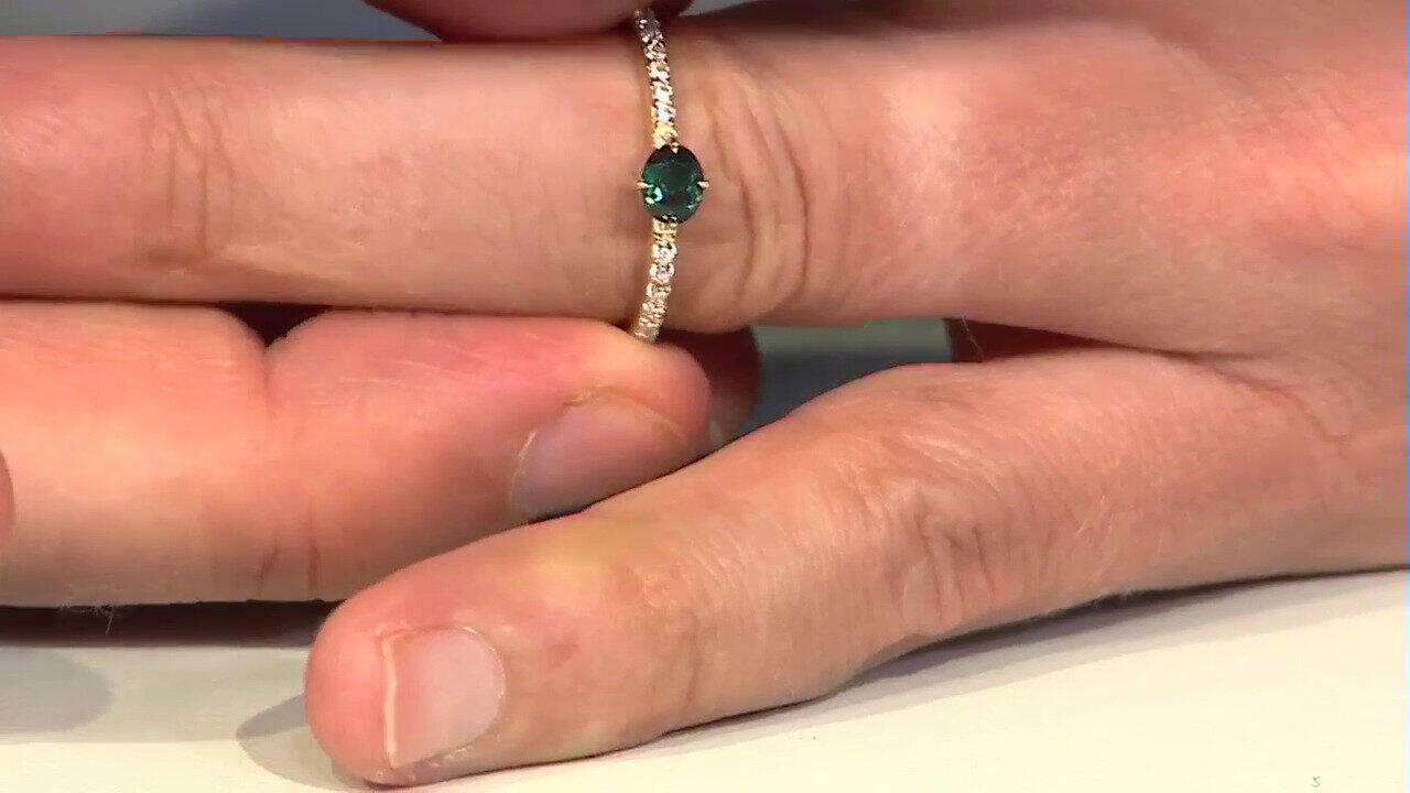 Letzte TV-Show ansehen