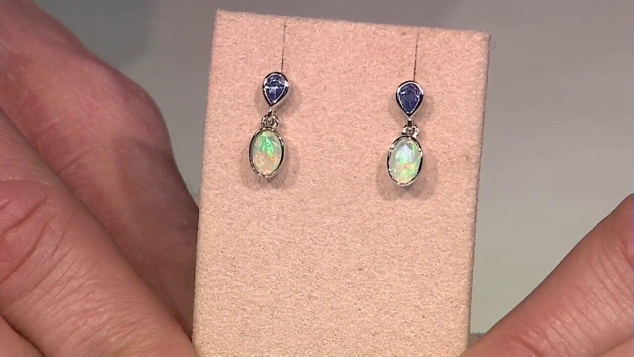 Letzte TV-Show ansehen