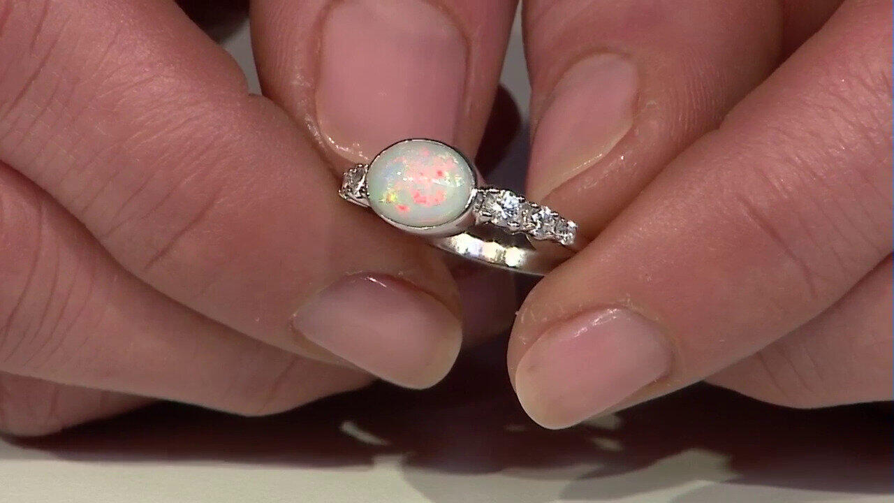 Letzte TV-Show ansehen