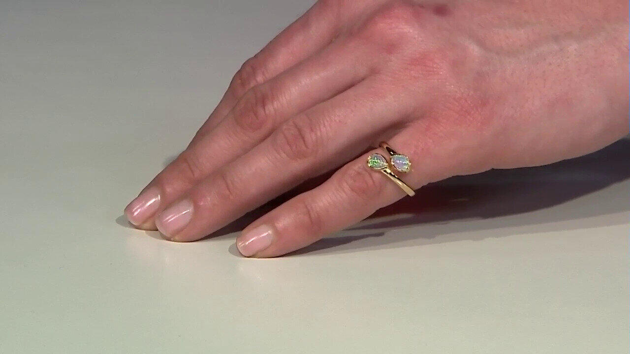 Letzte TV-Show ansehen