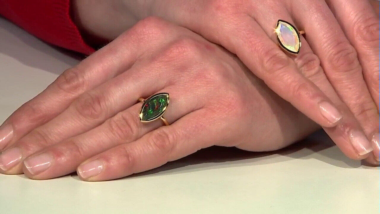 Letzte TV-Show ansehen