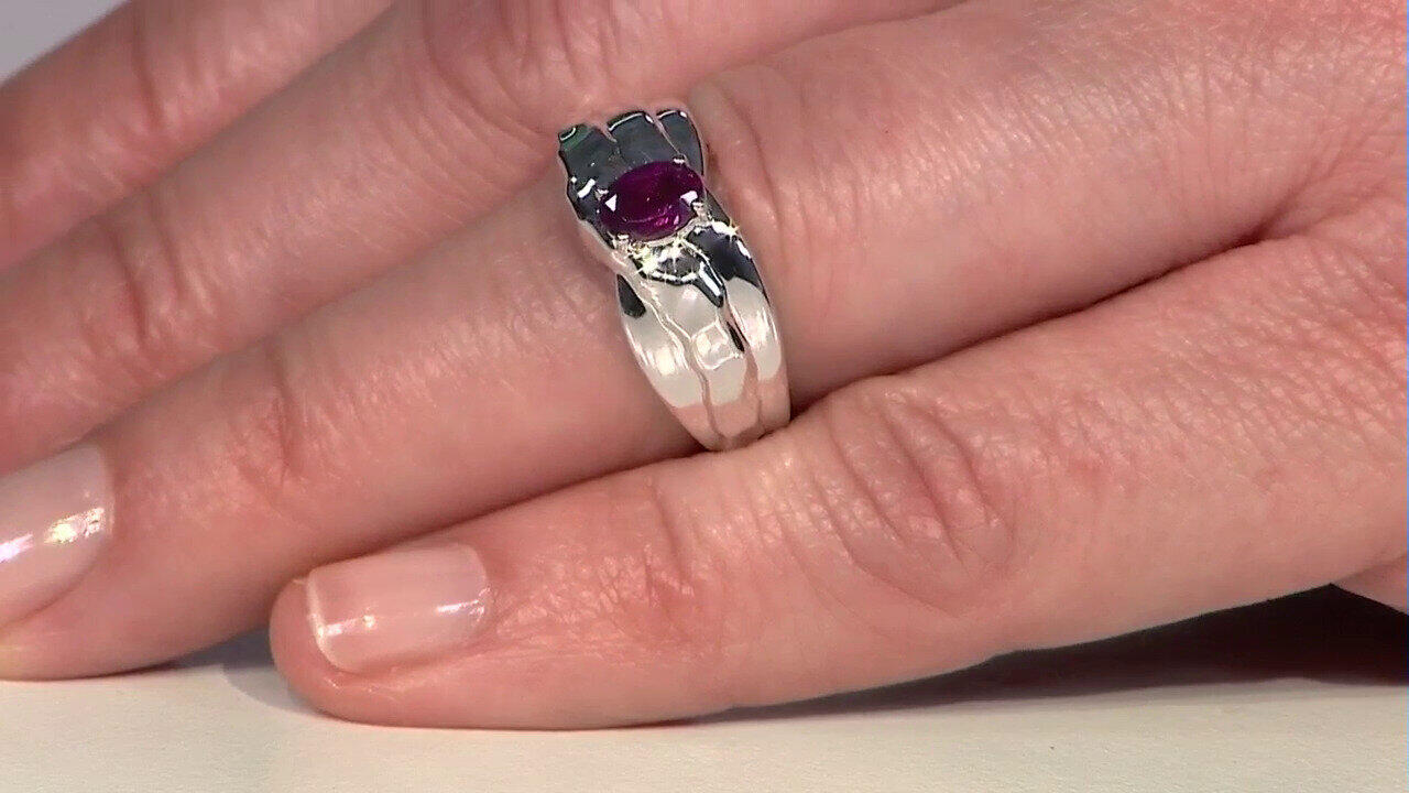 Letzte TV-Show ansehen