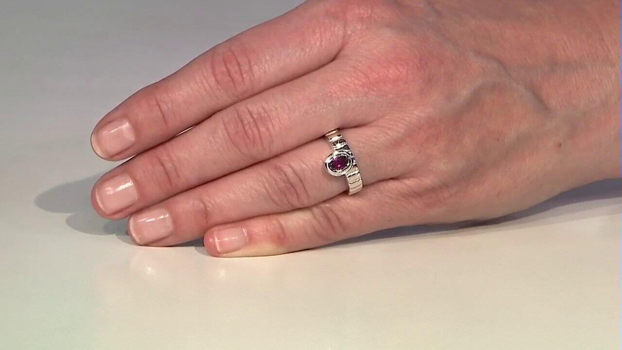 Letzte TV-Show ansehen