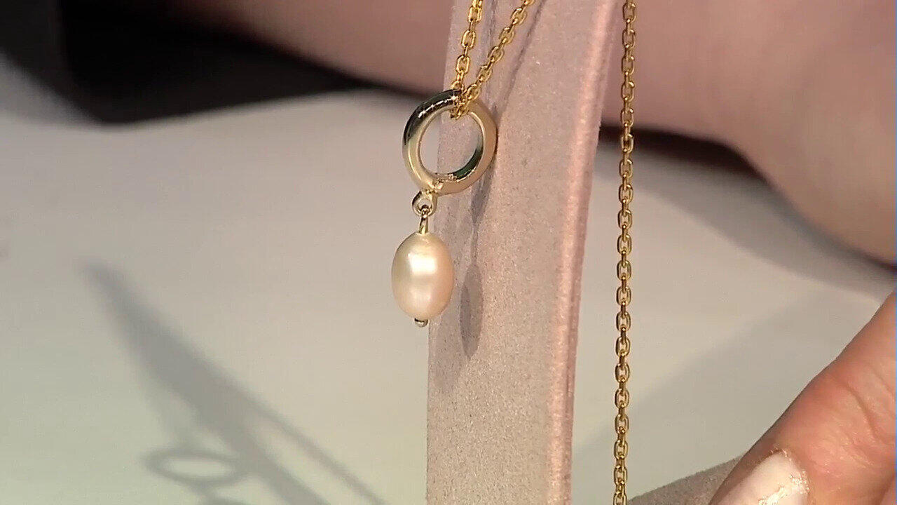 Letzte TV-Show ansehen