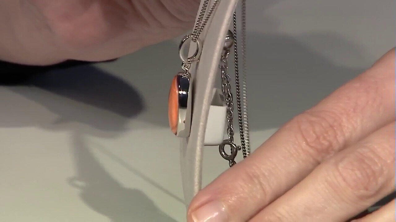 Letzte TV-Show ansehen