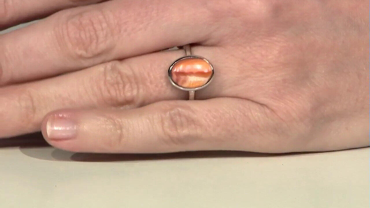 Letzte TV-Show ansehen