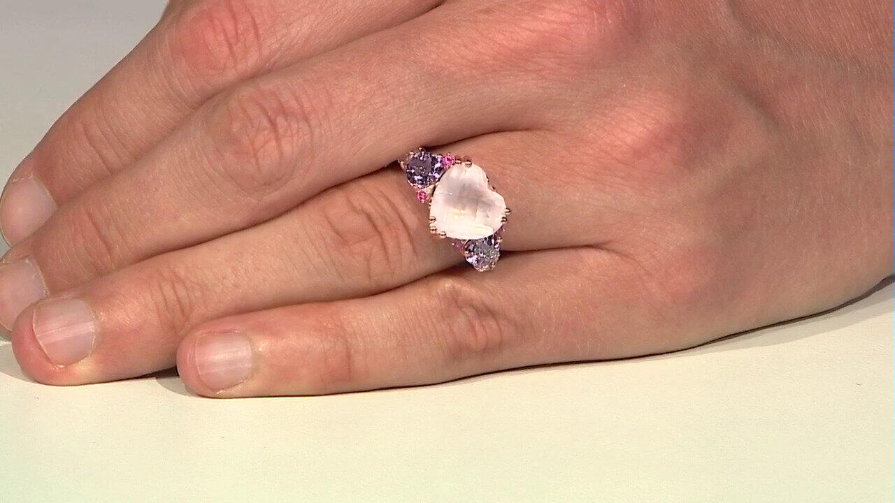 Letzte TV-Show ansehen