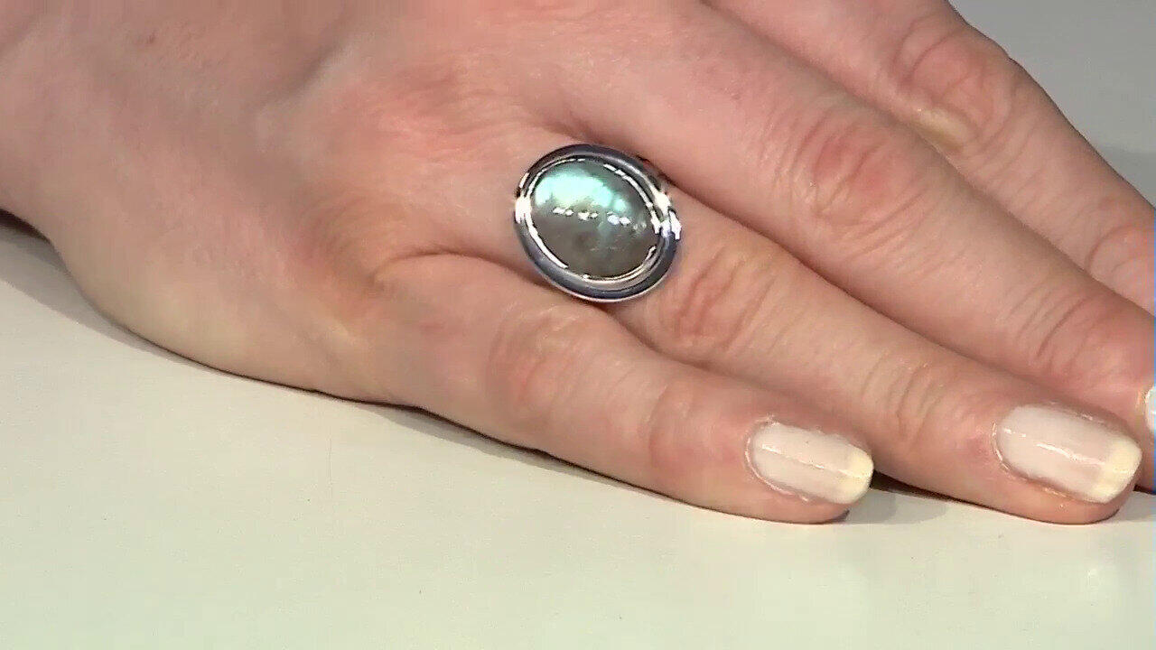 Letzte TV-Show ansehen