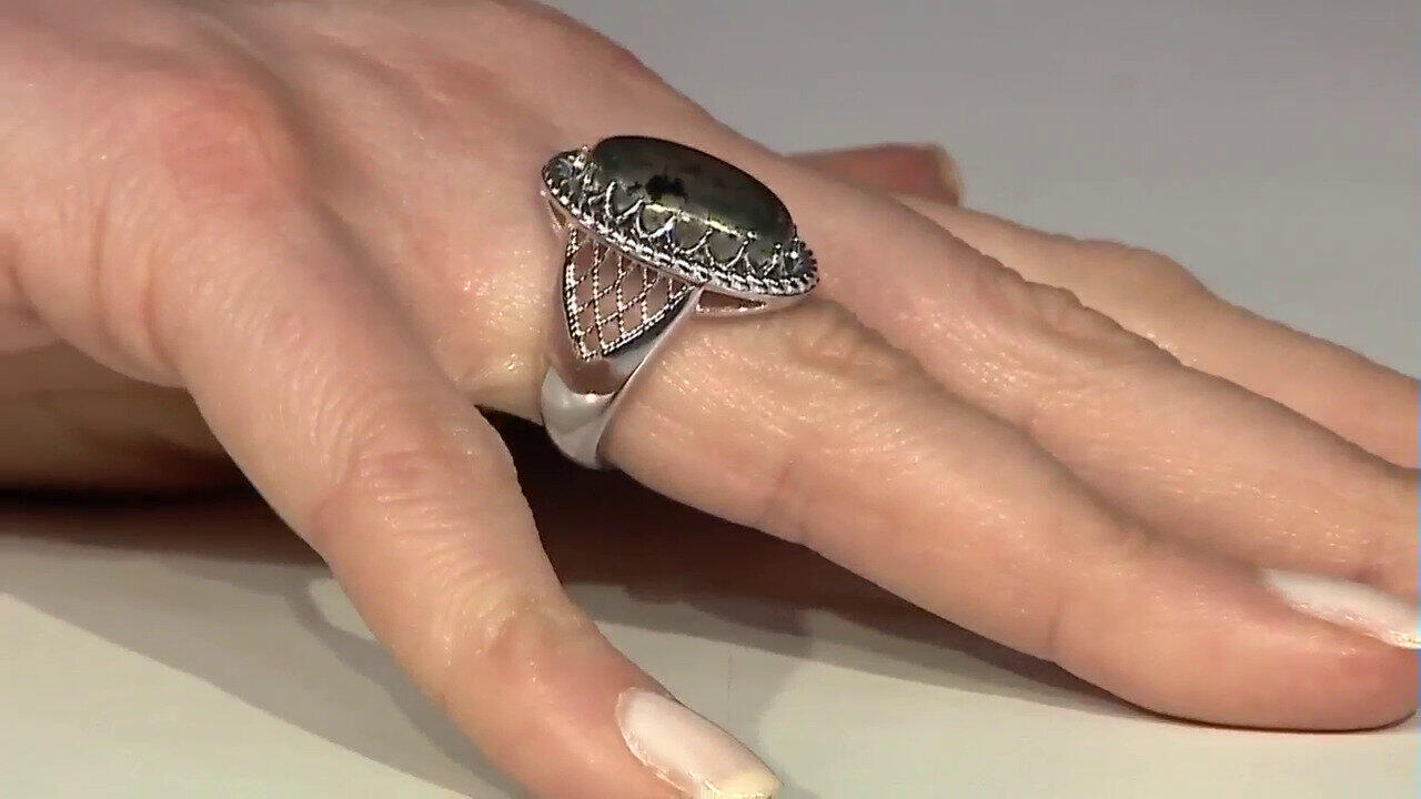 Letzte TV-Show ansehen