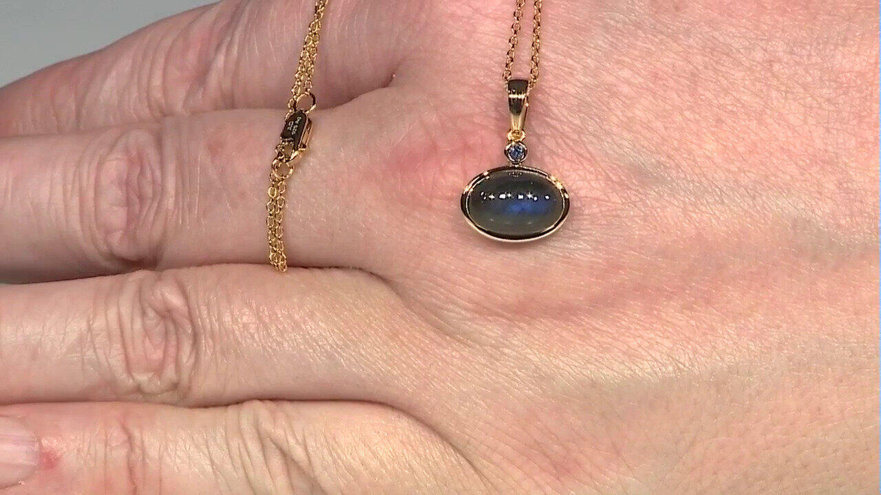 Letzte TV-Show ansehen