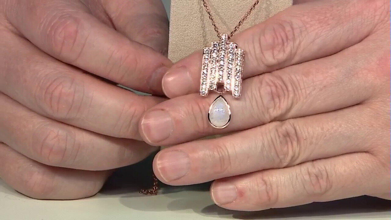 Letzte TV-Show ansehen