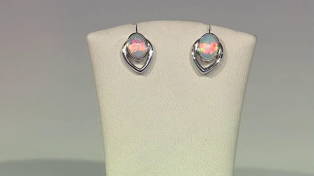 Letzte TV-Show ansehen