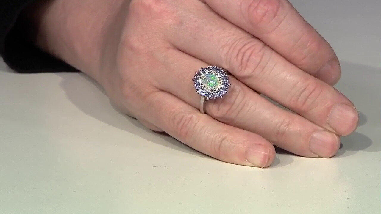 Letzte TV-Show ansehen