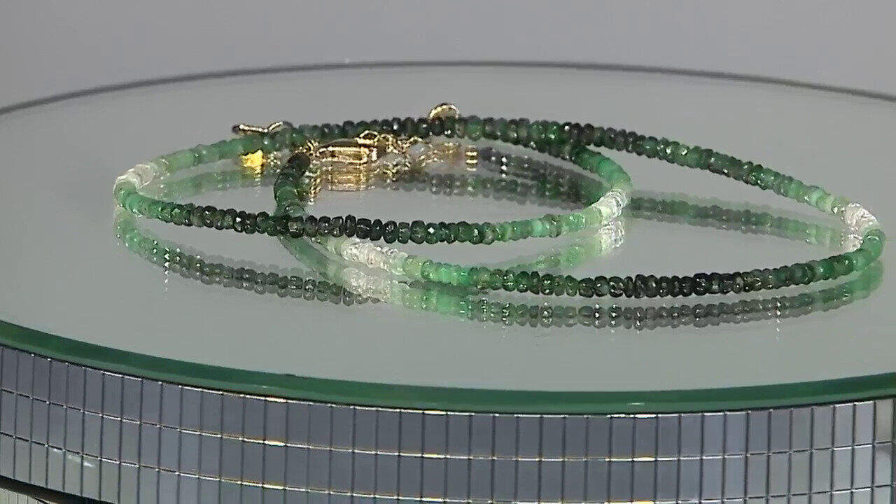 Letzte TV-Show ansehen