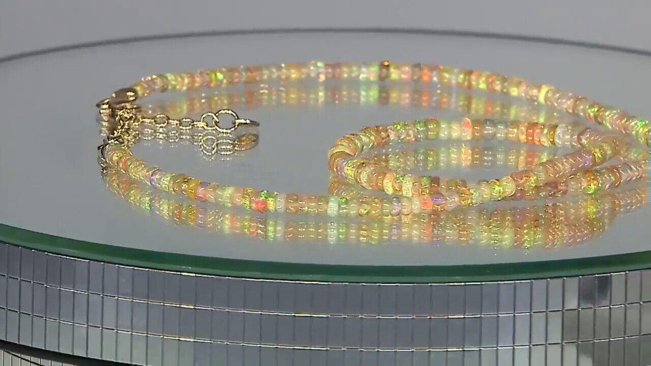 Laatste live aanbiedingen bekijken