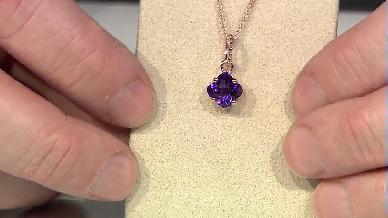 Letzte TV-Show ansehen