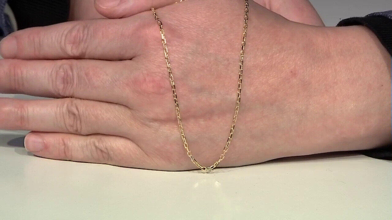 Letzte TV-Show ansehen