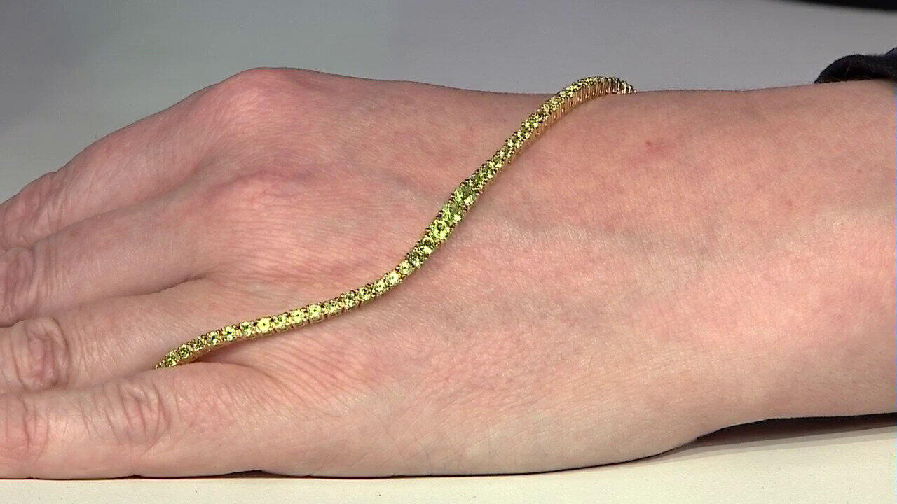 Letzte TV-Show ansehen