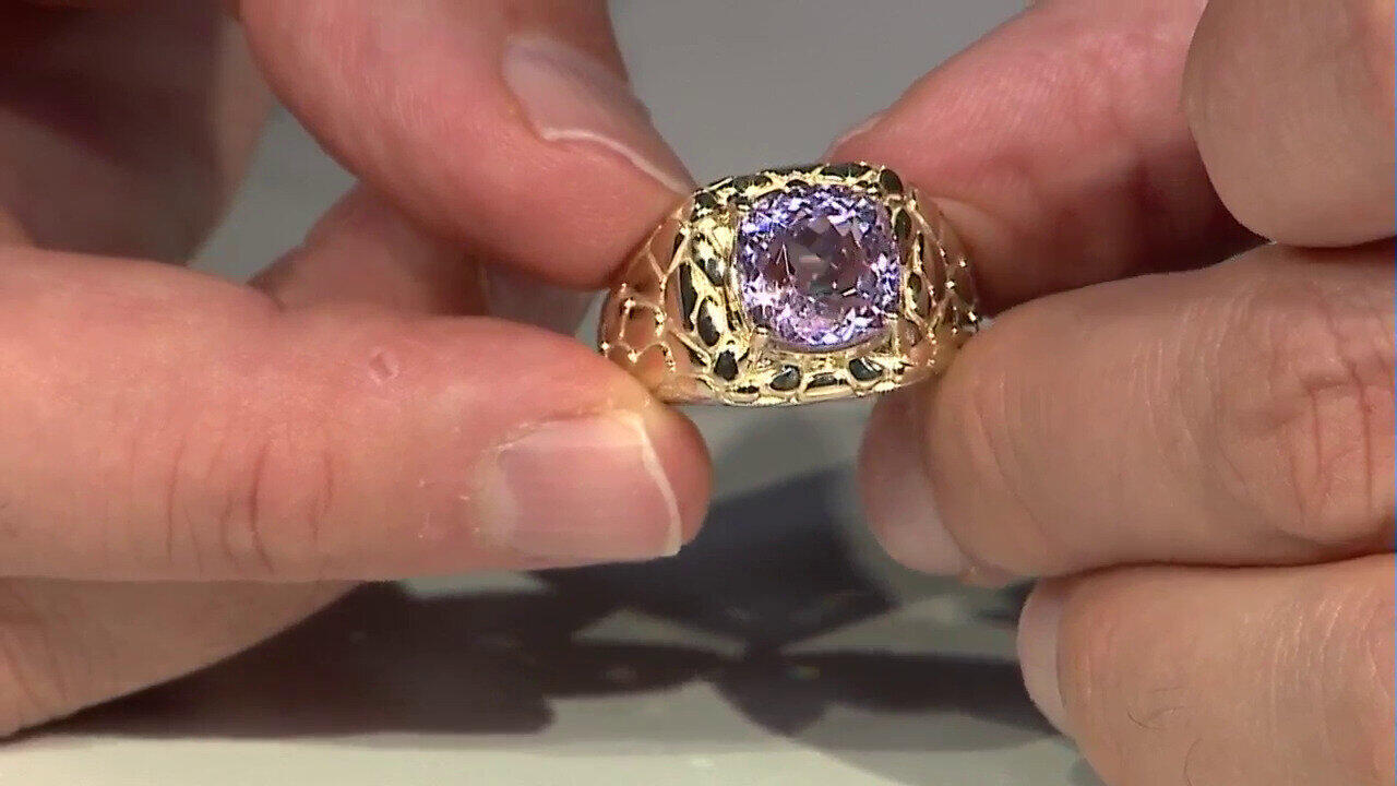 Letzte TV-Show ansehen