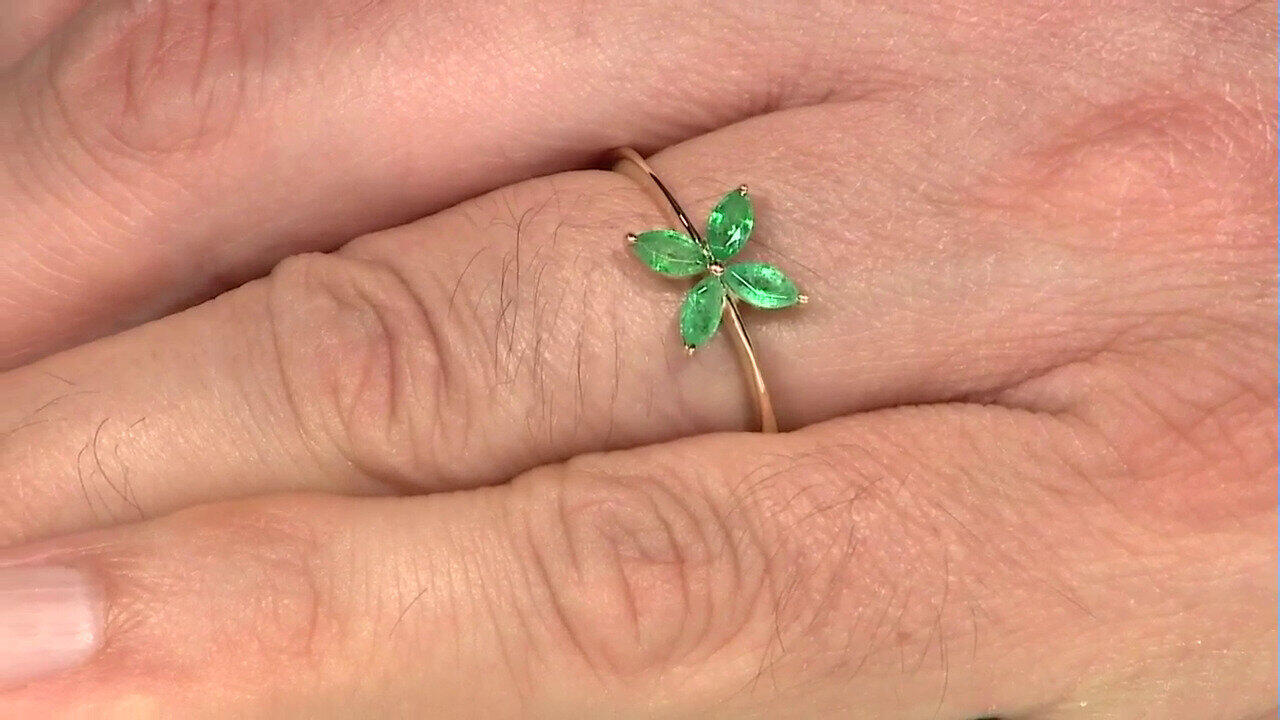 Laatste live aanbiedingen bekijken