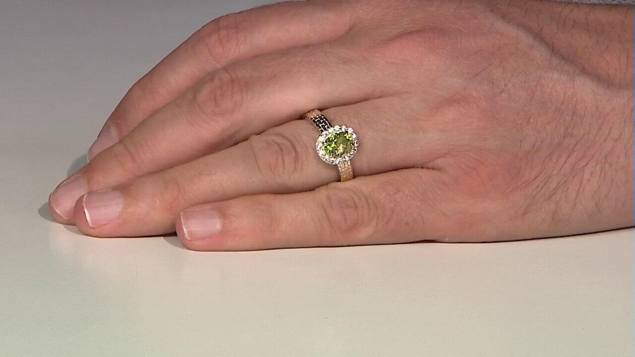 Letzte TV-Show ansehen