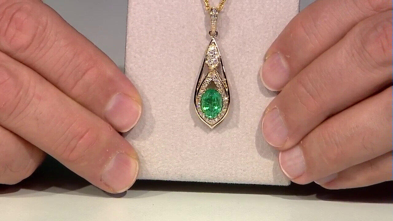 Letzte TV-Show ansehen