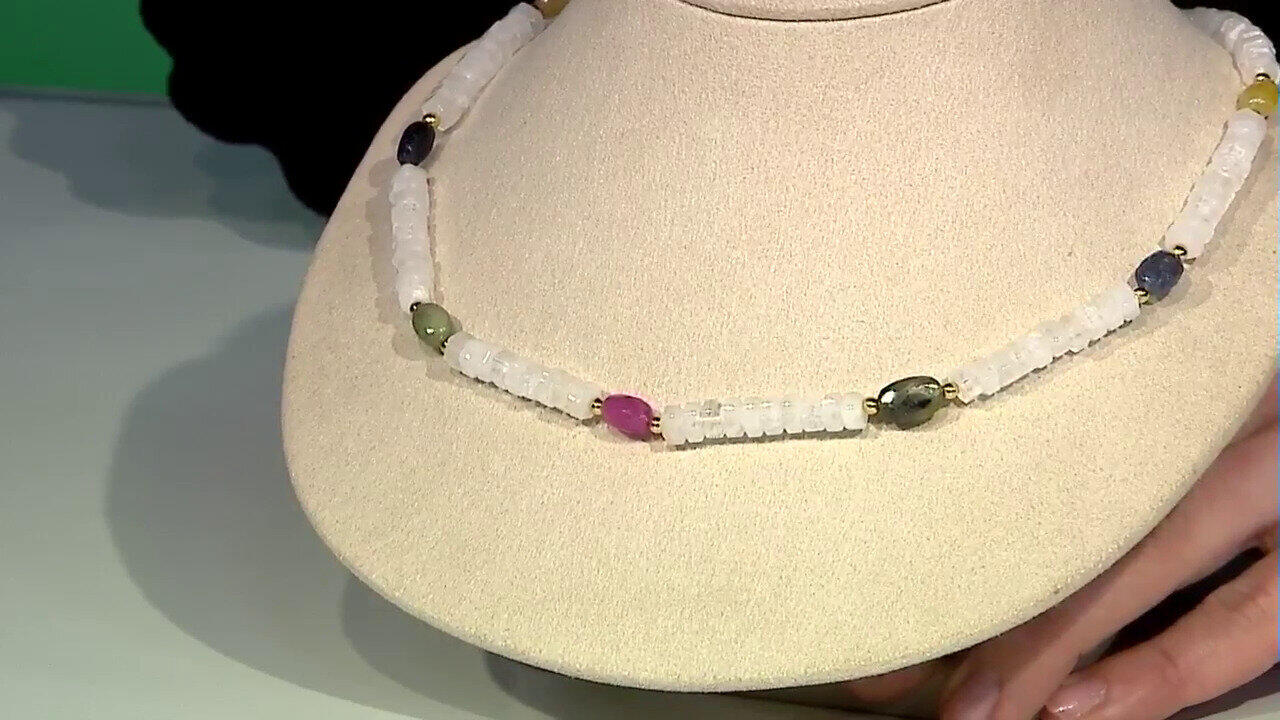 Laatste live aanbiedingen bekijken