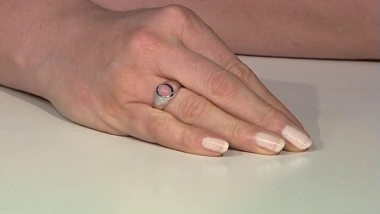 Letzte TV-Show ansehen