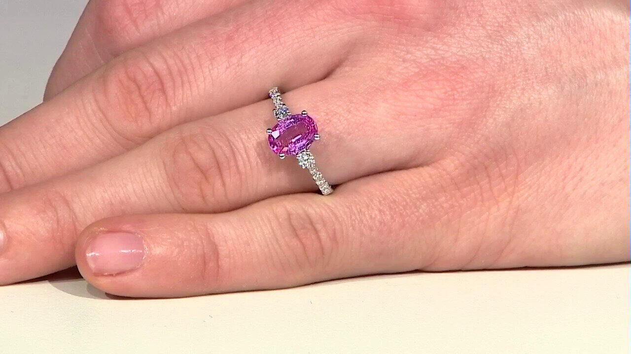 Ver última TV oferta