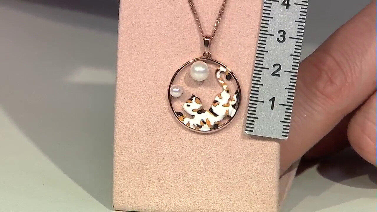 Letzte TV-Show ansehen