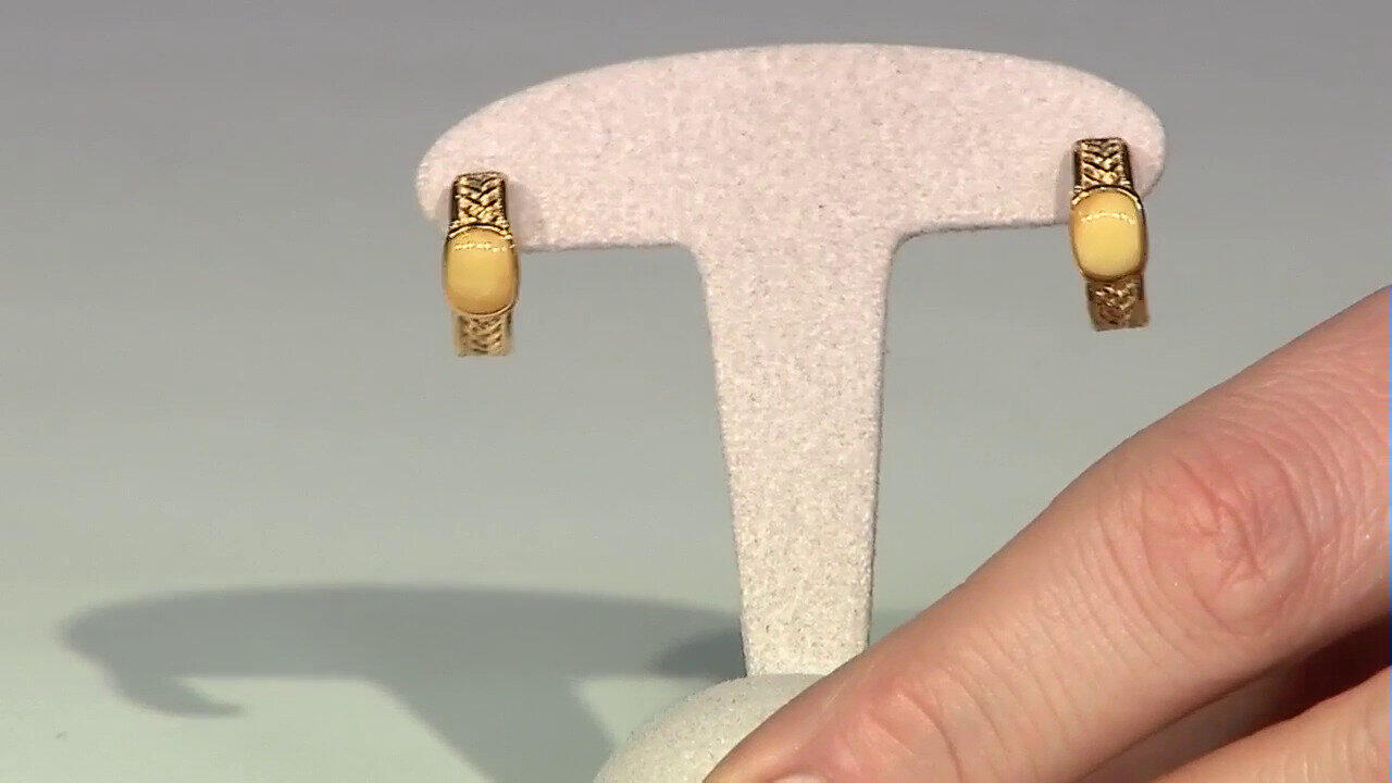 Letzte TV-Show ansehen