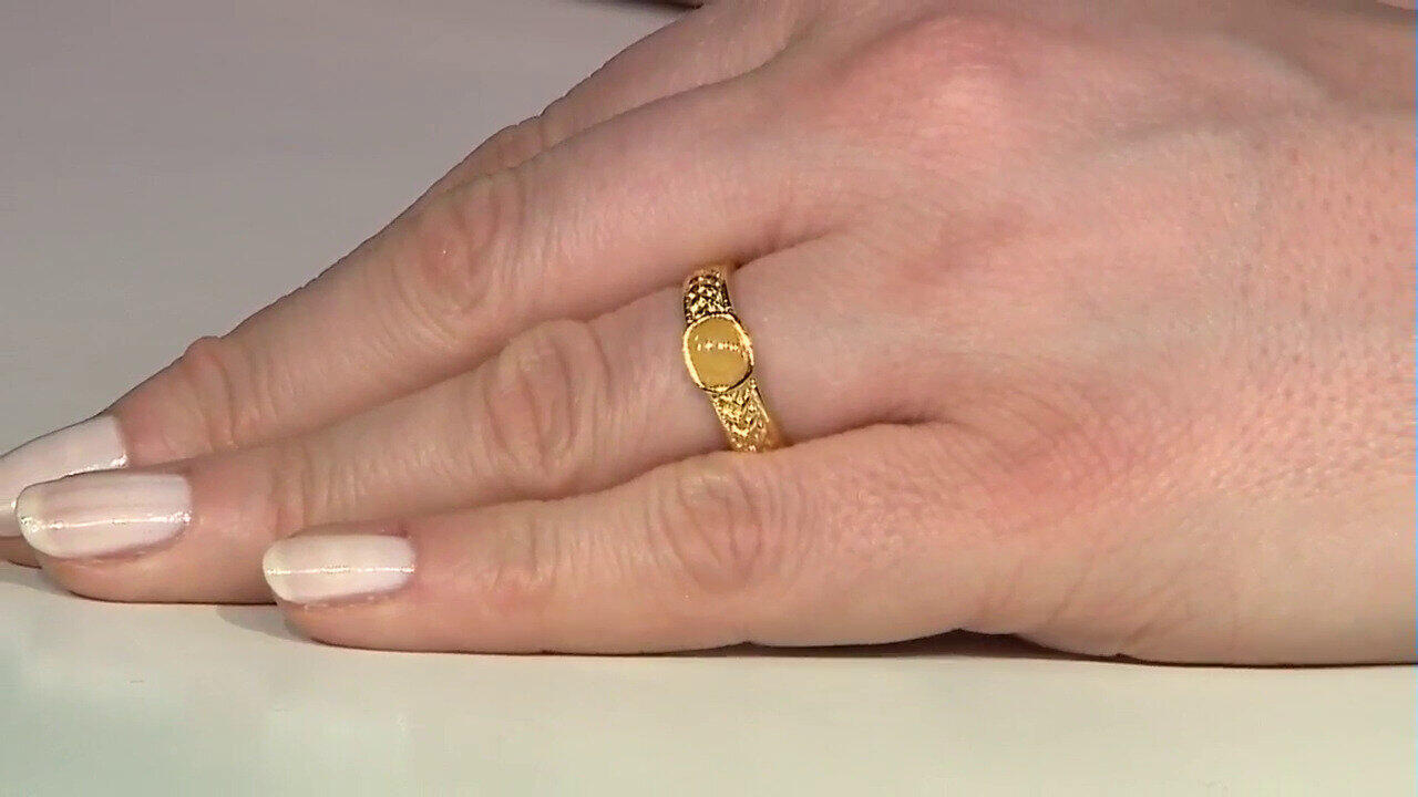 Letzte TV-Show ansehen