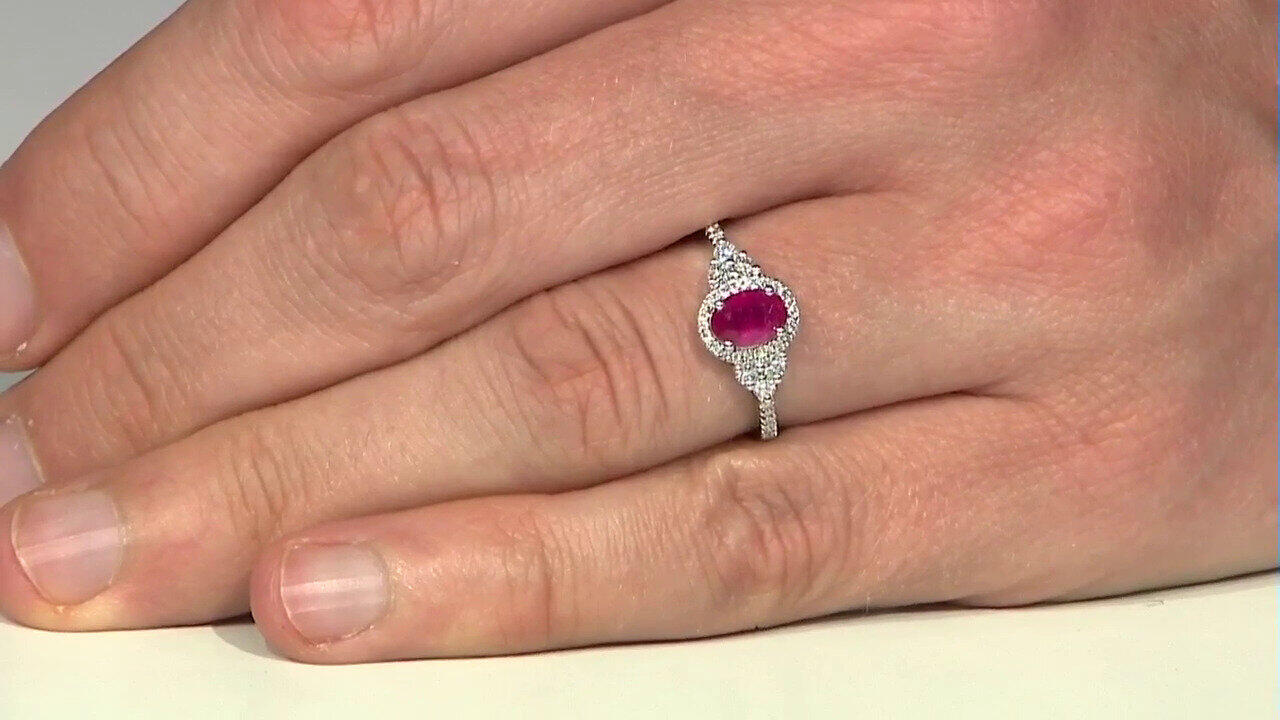 Laatste live aanbiedingen bekijken