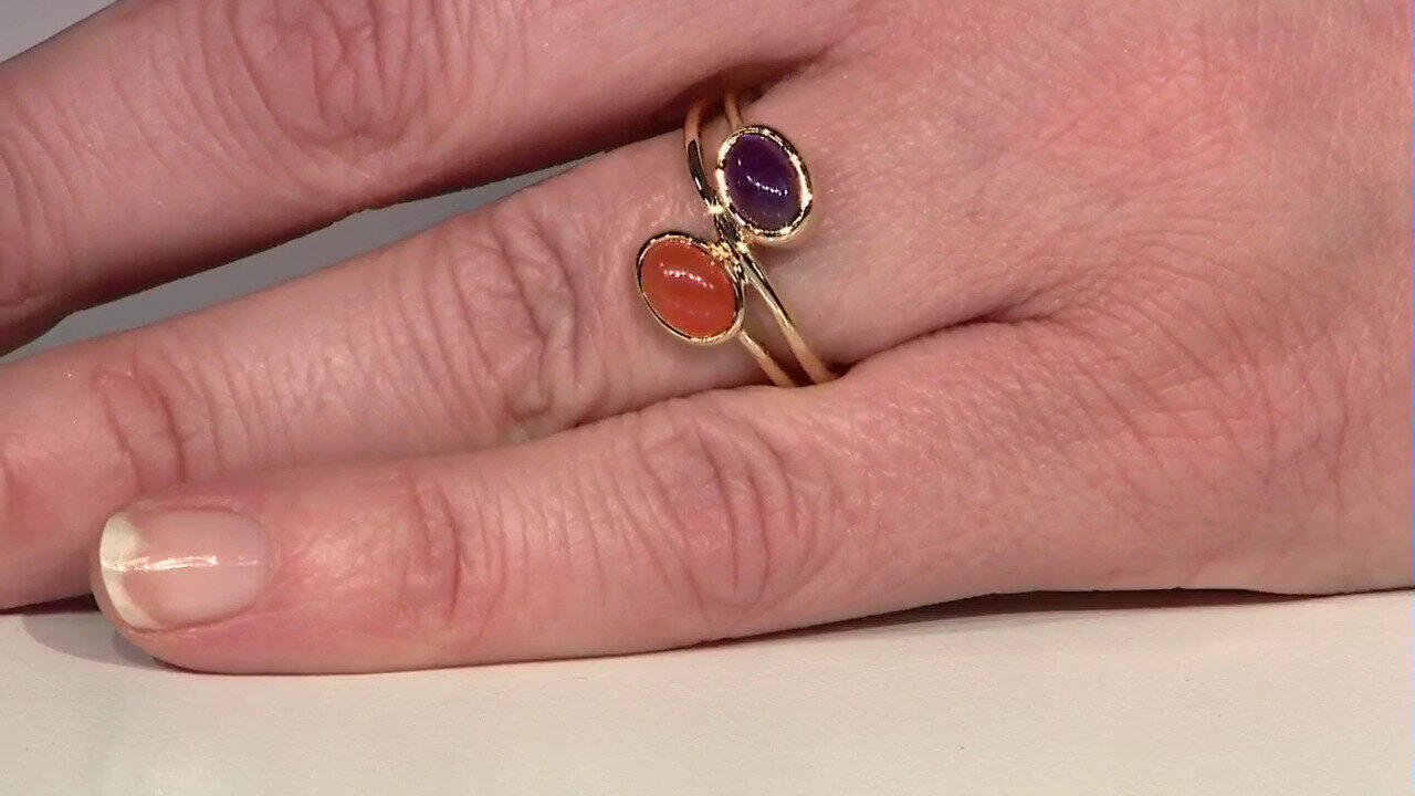 Letzte TV-Show ansehen