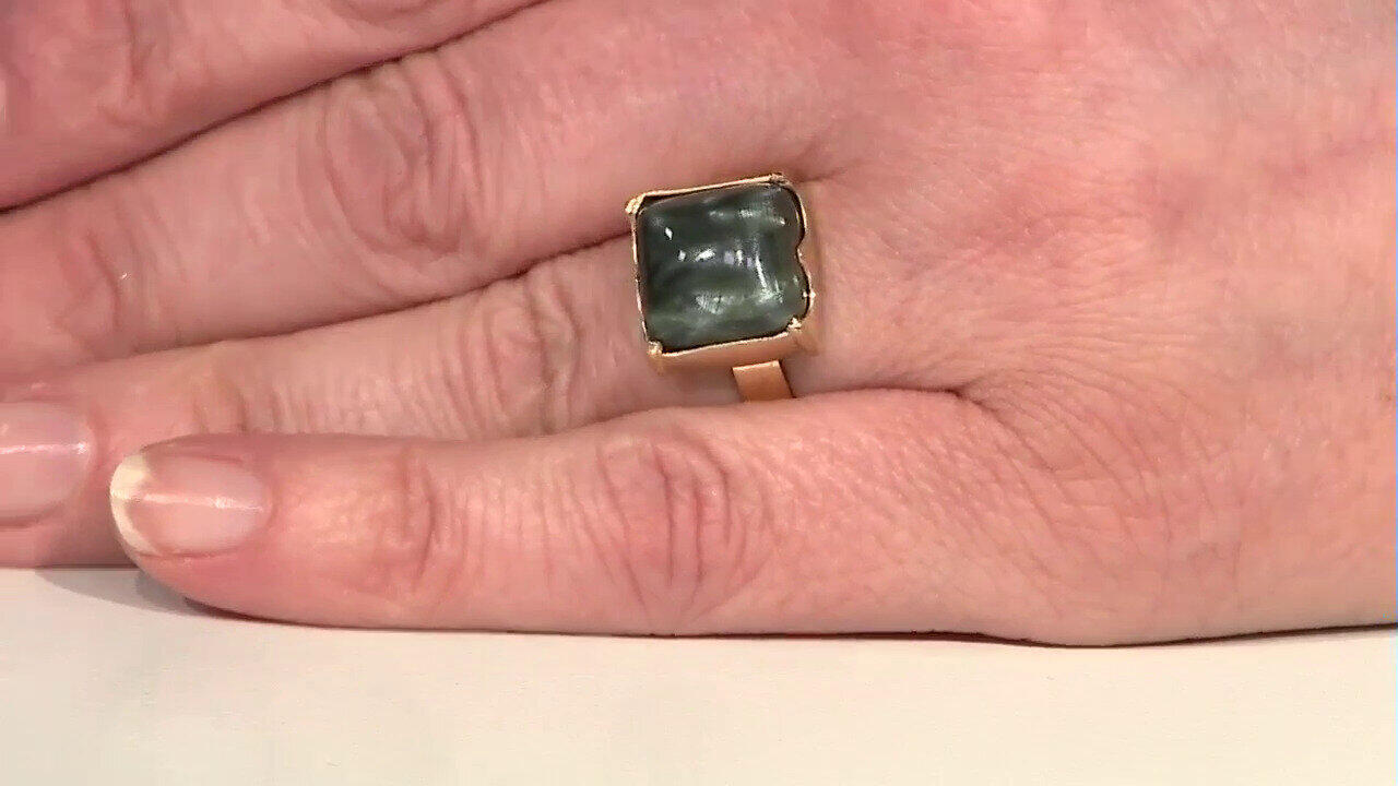 Letzte TV-Show ansehen