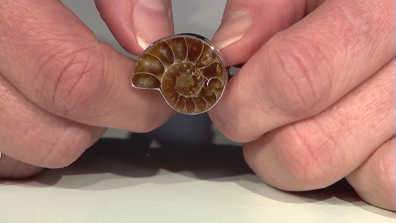 Laatste live aanbiedingen bekijken