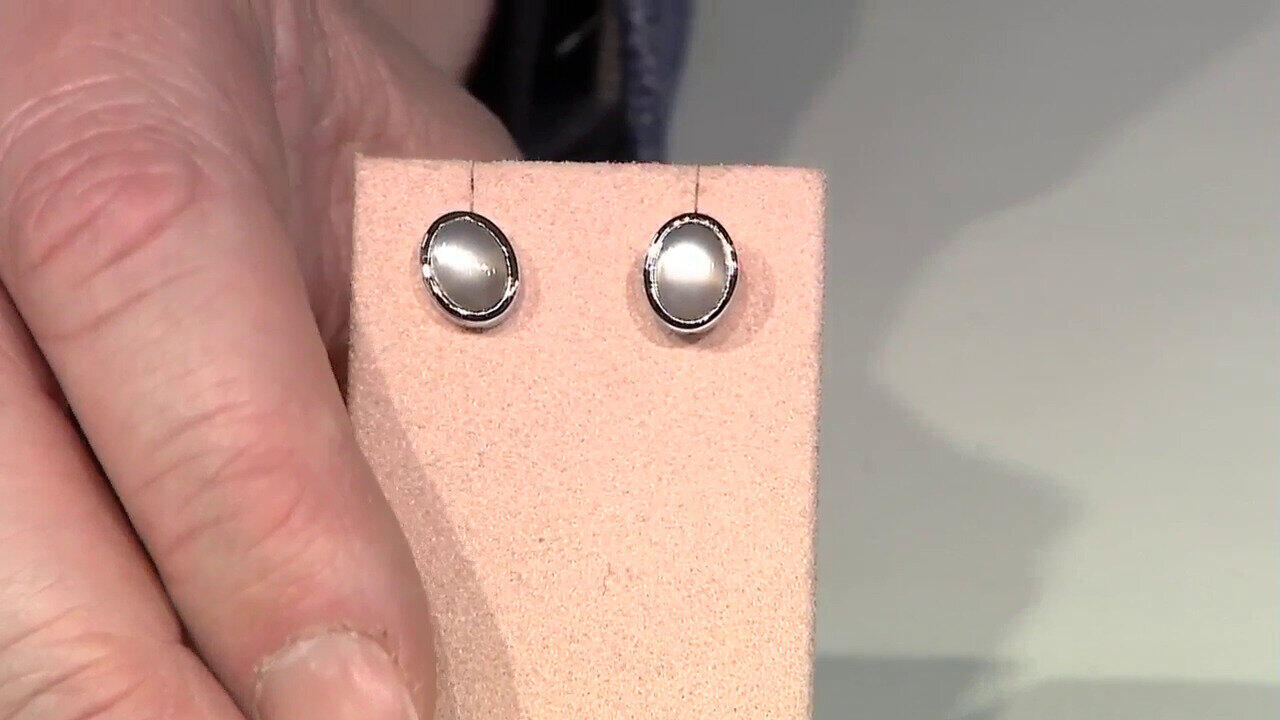 Letzte TV-Show ansehen