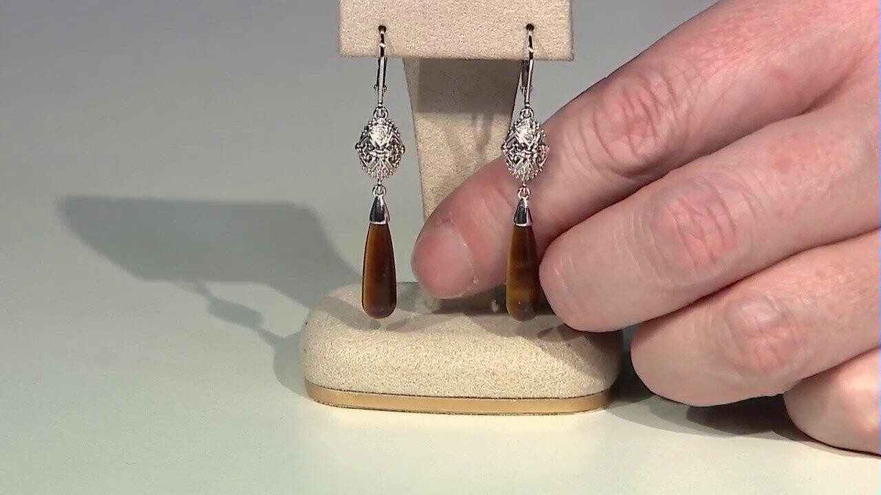 Letzte TV-Show ansehen