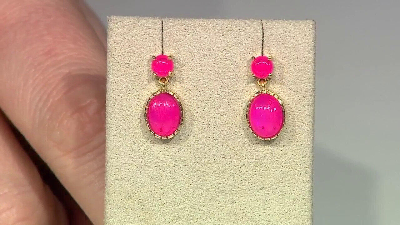 Letzte TV-Show ansehen