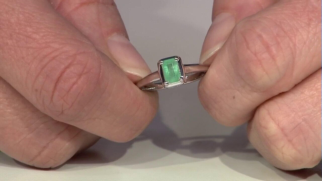 Letzte TV-Show ansehen